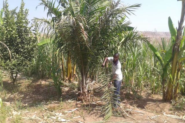 Lualaba : les agriculteurs de Busanga, des promesses d’une indemnisation incertaine