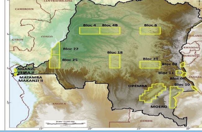 Le bloc pétrolier Upemba , un danger pour la biodiversité