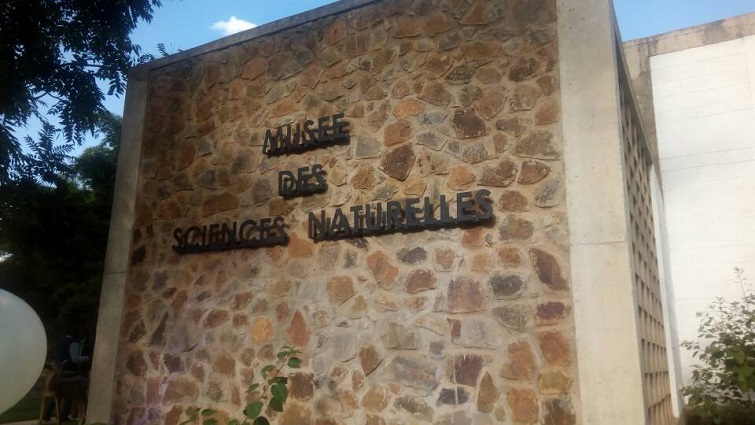 Musée des sciences naturelles à Lubumbashi, une première en RDC