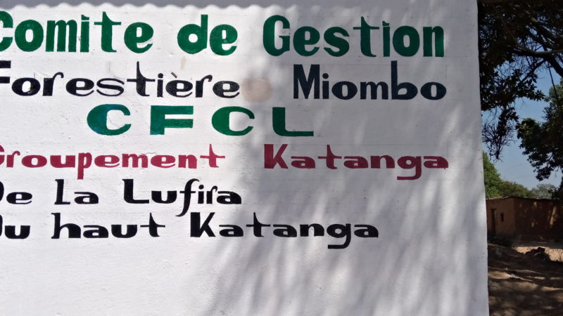 RDC: 30 communautés se mobilisent pour la gestion de la foret de Miyombo