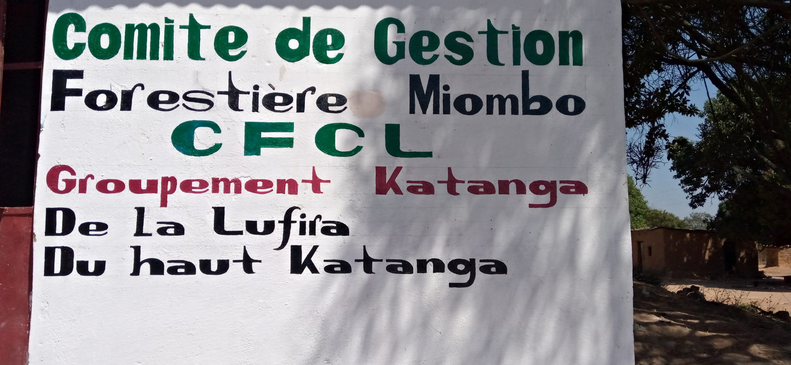 RDC: 30 communautés se mobilisent pour la gestion de la foret de Miyombo