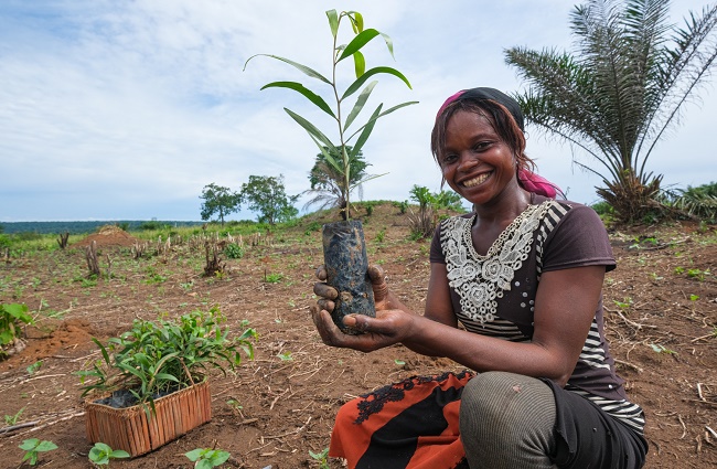 RDC: Yangambi célèbre la plantation d’un million d’arbres