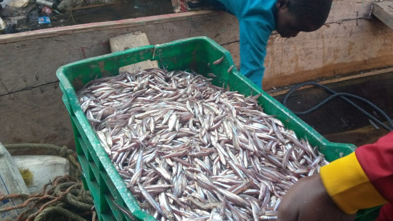Tanganyika: La pêche se poursuit malgré la décision de fermeture