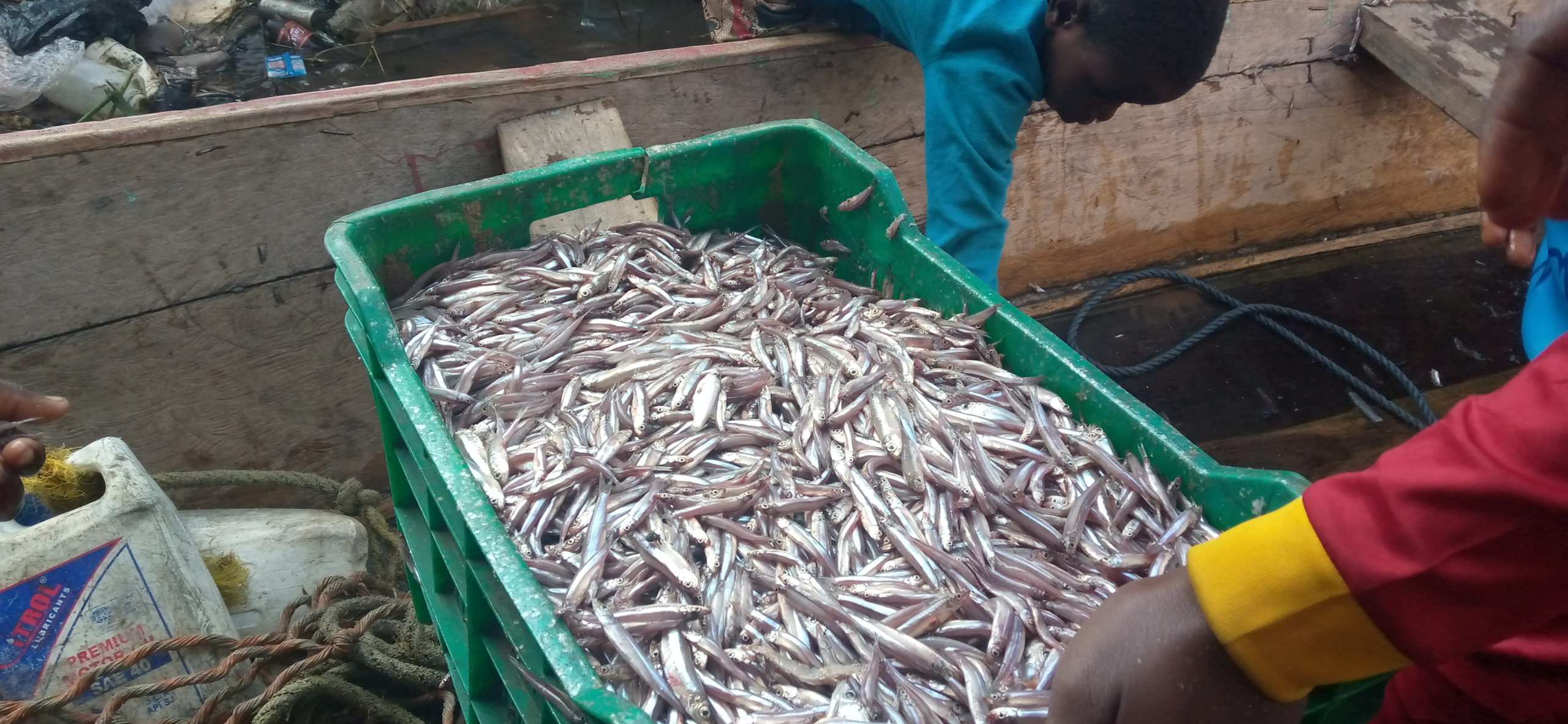 Tanganyika: La pêche se poursuit malgré la décision de fermeture