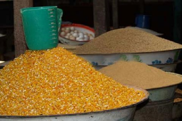 Haut-Lomami : hausse de prix du maïs à Kamina