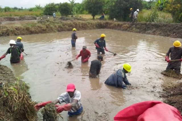 Lualaba: les agriculteurs victimes du barrage de Busanga ont été indemnisés