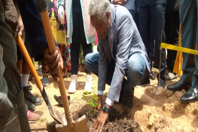 Lubumbashi 2022-2023: 10.000  arbres seront mis en terre