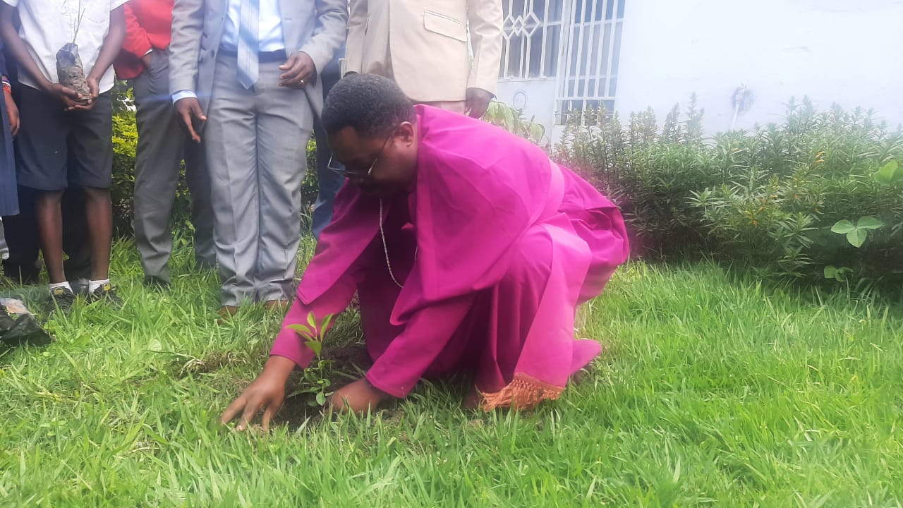 RDC: Planter les arbres le 05 décembre, est-ce une habitude ?