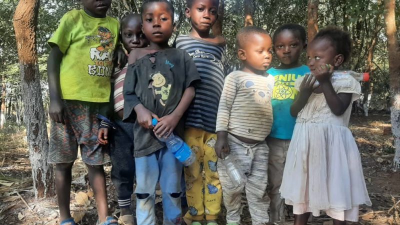 Haut Katanga: le village Shimpauka dépourvu d’écoles