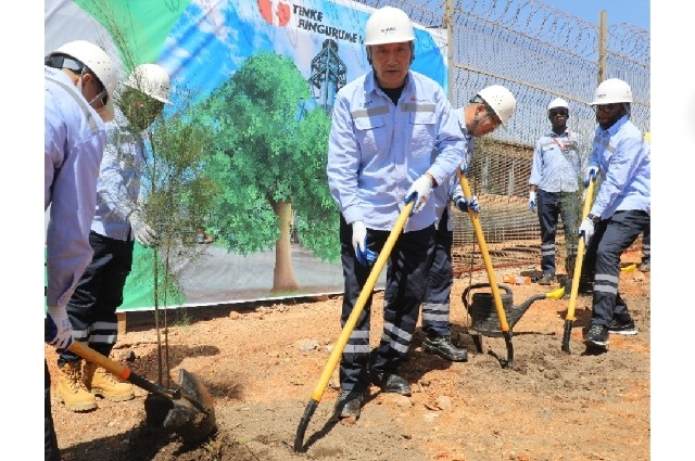 Le CEO lance la campagne « Pour une TFM verte, plantons chacun un arbre »