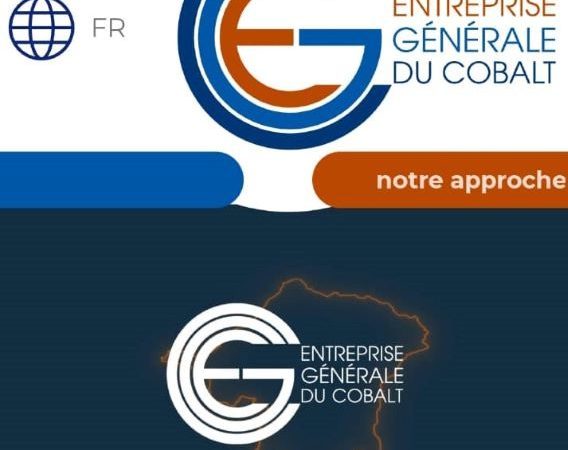 Exploitation du cobalt artisanal : EGC sélectionne des coopératives
