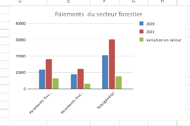 RDC : les revenus forestiers ont augmenté de 46,6% entre 2020 et 2021