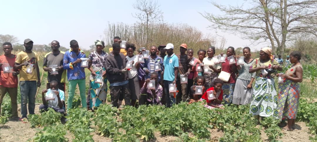 Haut-Katanga : INERA introduit des nouvelles variétés de semences