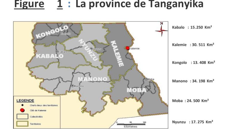 Tanganyika : des espaces animales menacées par des maladies