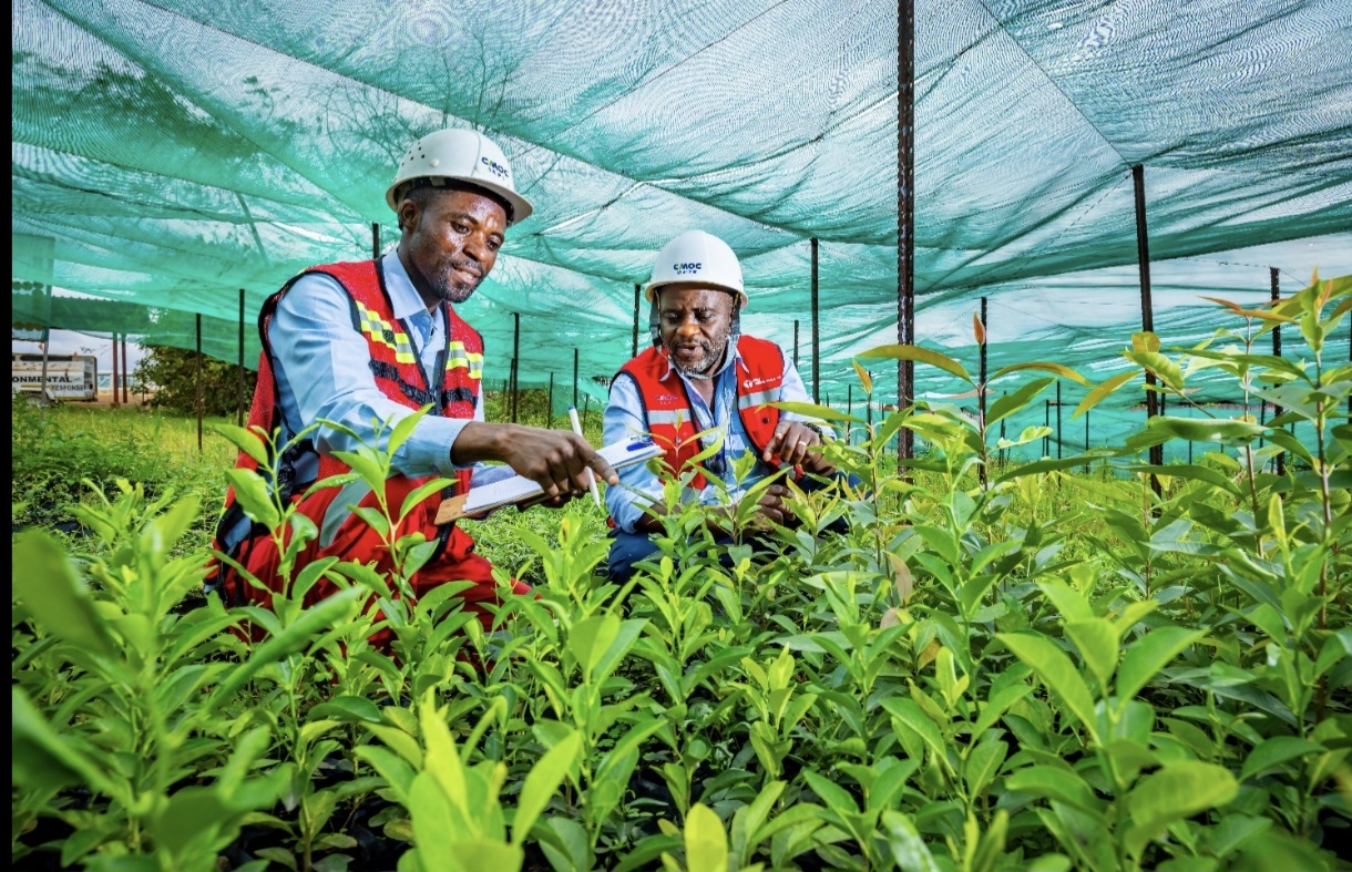 La promesse verte de TFM : Préserver la flore cuprifère et restaurer la biodiversité