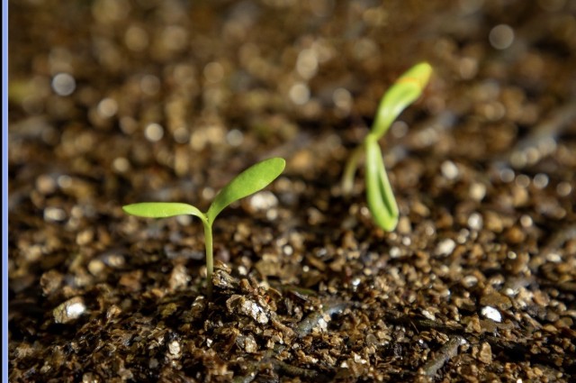 Développement durable : TFM au pas avec des initiatives environnementales ambitieuses