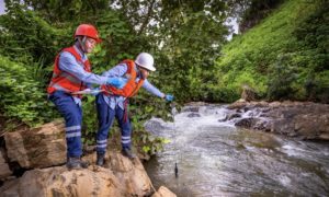 TFM, avancées environnementales 
