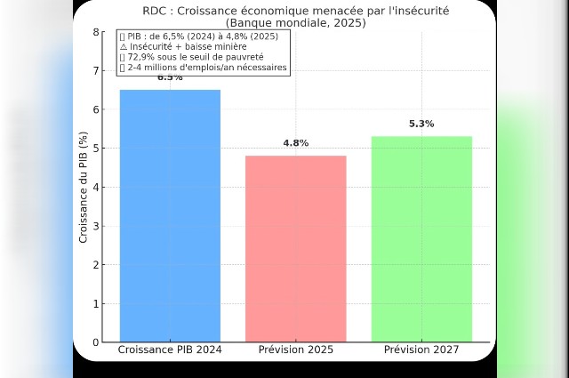 Infographie sur le PIB en RDC