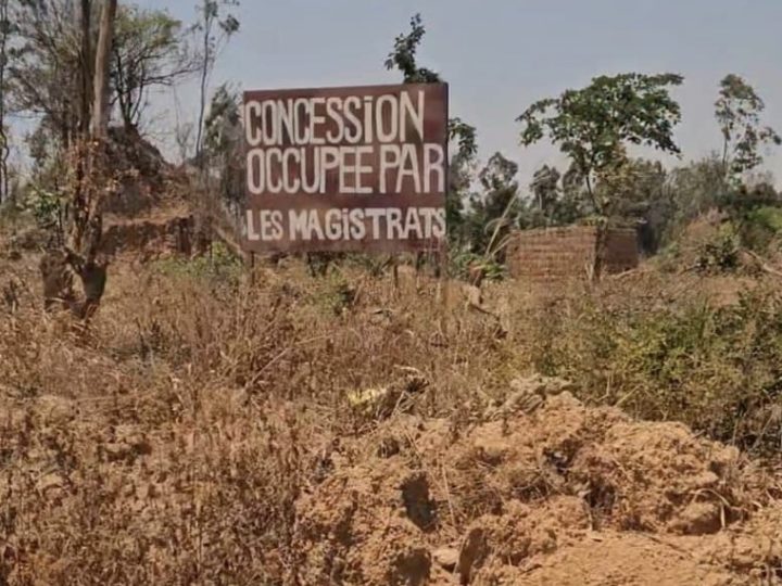 L’IRDH  dénonce la spoliation de la concession de l’INERA Kipopo