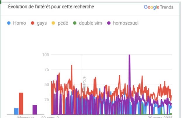Les mots les plus utilisés pour désigner la communauté LGBTQ+