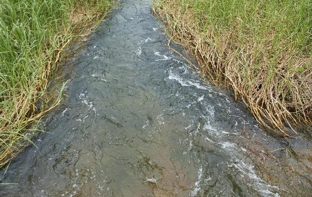 Katanga : des rivières polluées, des vies en danger, le consortium Mazingira Pour Tous apelle à plus de responsabilités