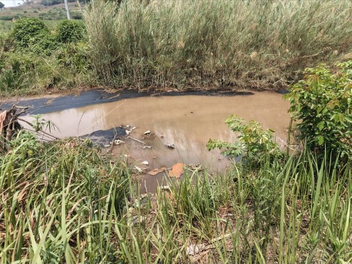 Lualaba: les rivières Nkonka et Dipeta polluées par l’acide