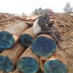 L'exploitation artisanale du bois