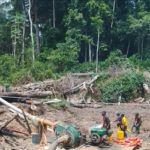 L'exploitation minière dans la forêt des Miombo