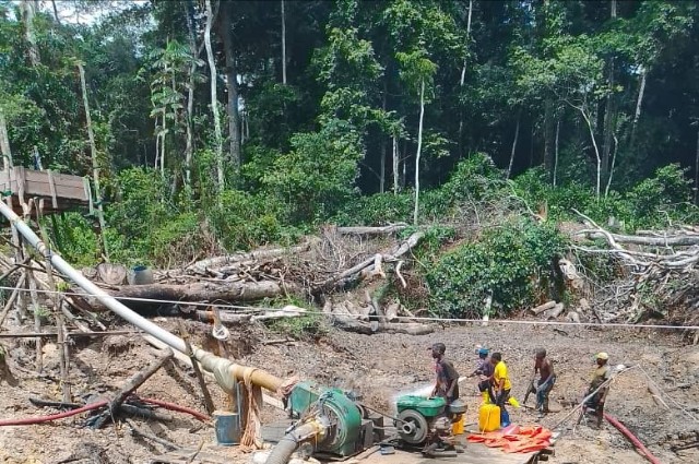 L'exploitation minière dans la forêt des Miombo