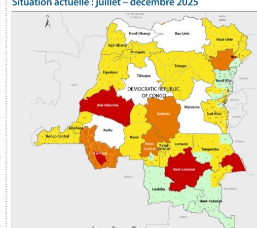 RDC: plus de 5 millions de personnes souffrent de la malnutrition