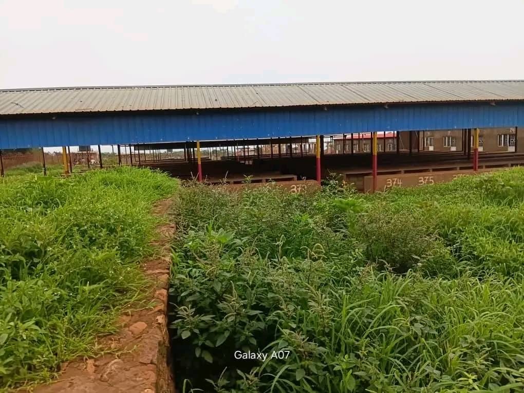 Kakanda : le marché Kouvas non fréquenté par des vendeurs