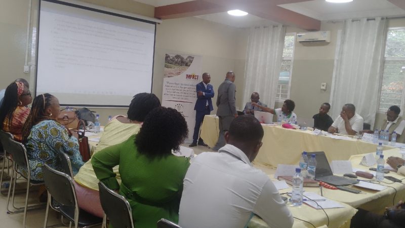 Lubumbashi: la loi sur les peuples autochtones pygmées méconnue