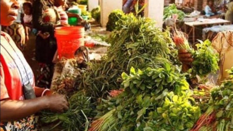 Lubumbashi : Jacky Mbuyi, symboles d’autonomisation