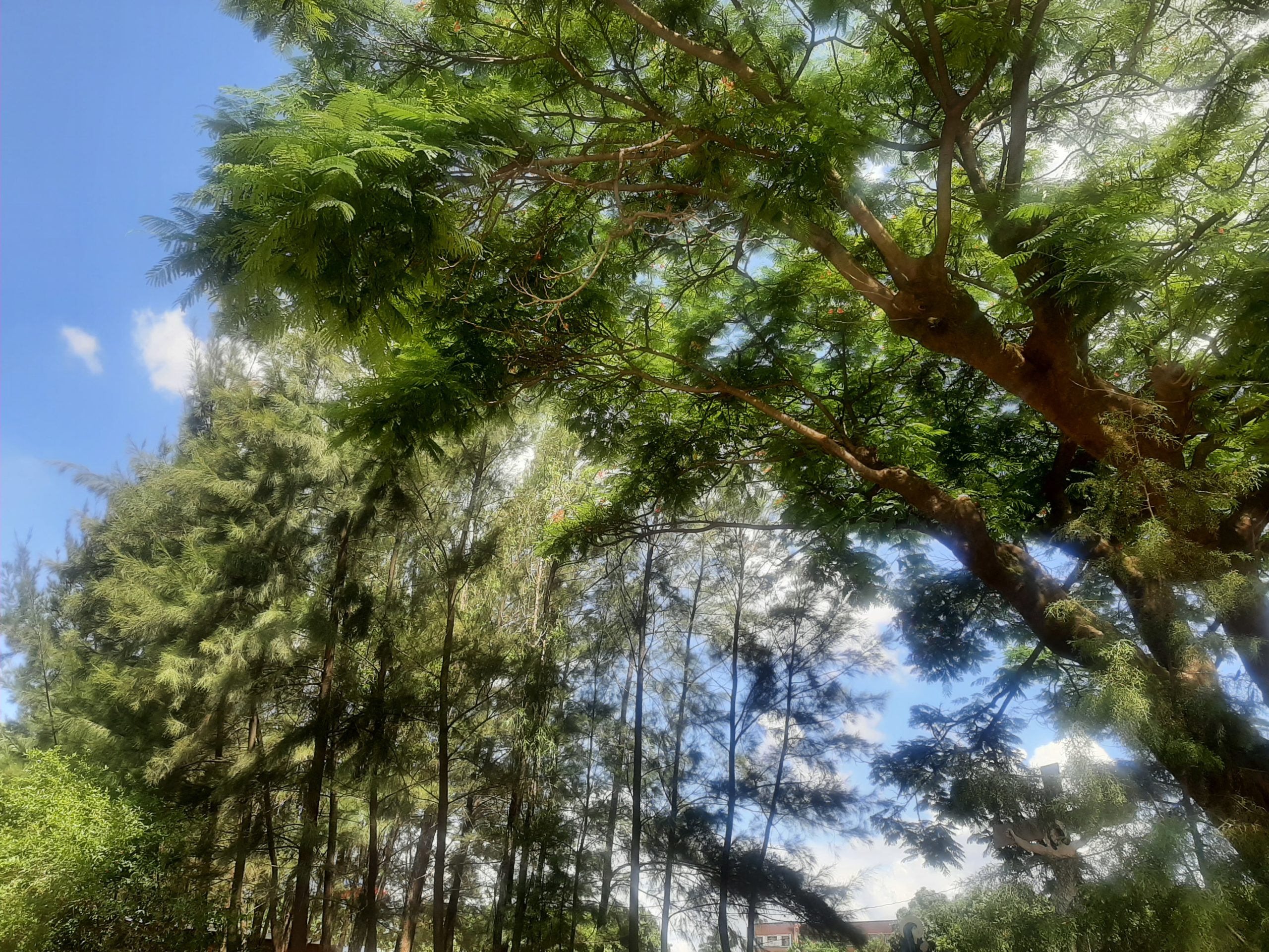 Quand les normes minières sur l&rsquo;environnement souffrent d&rsquo;application