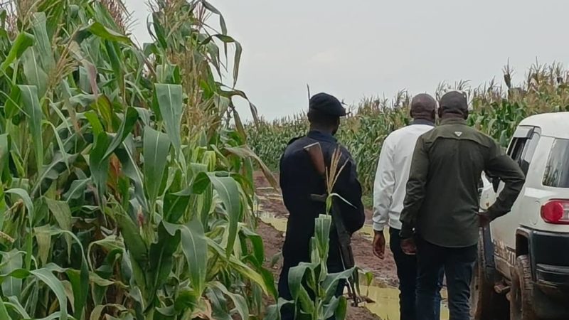 Lualaba : Jacques Kaumba porte désormais le secteur agricole