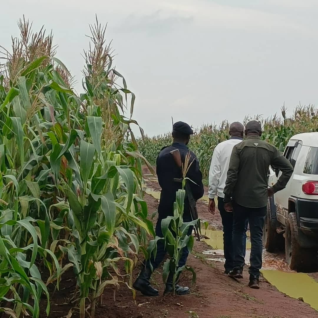 Lualaba : Jacques Kaumba porte désormais le secteur agricole