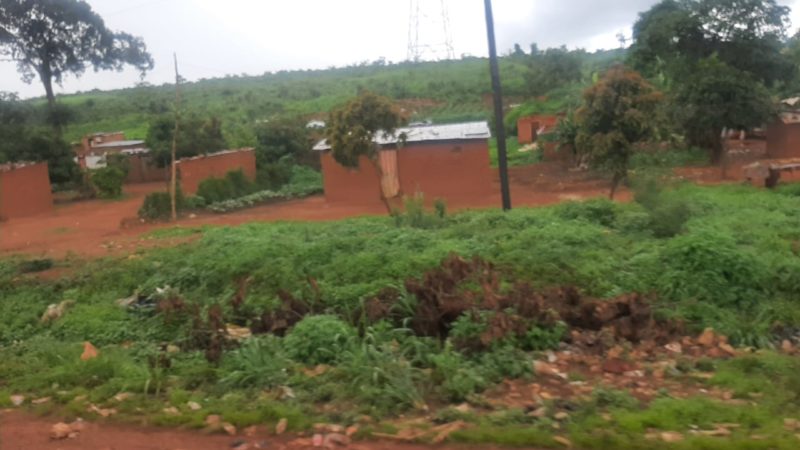 RDC: Spoliation de l’INERA/Kipopo,  l’IRDH dénonce le silence