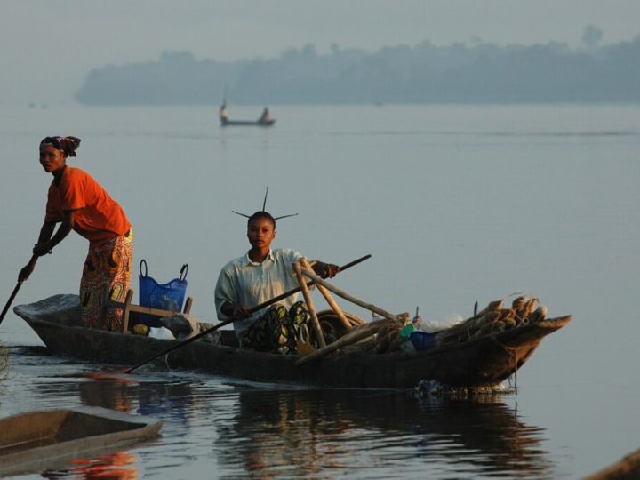 la pêche des poissons dans le bassin du Congo