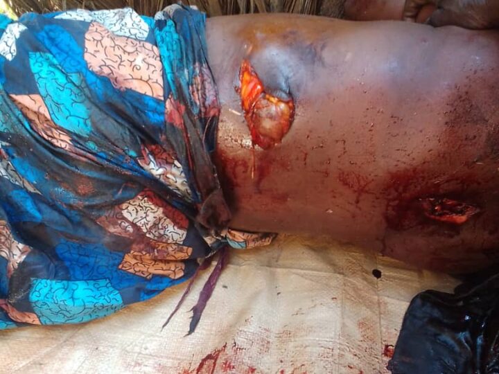 Ankoro : un énième cas de mort d’homme causé par des éléphants