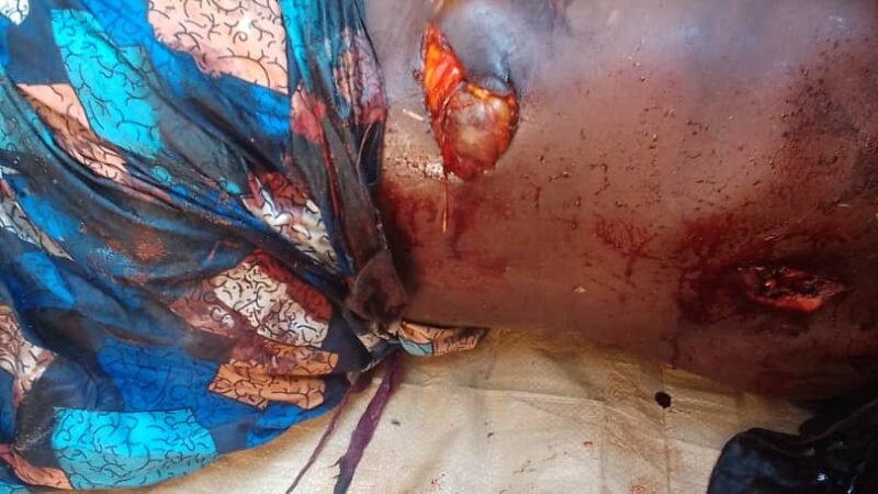 Ankoro : un énième cas de mort d’homme causé par des éléphants