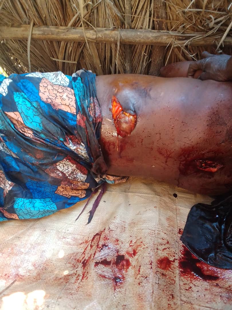 Ankoro : un énième cas de mort d’homme causé par des éléphants