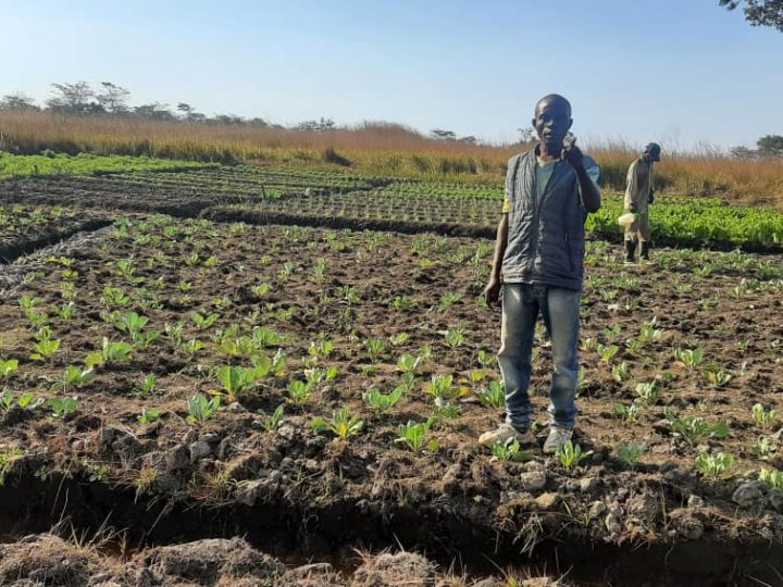 Lubumbashi : la qualité de l&rsquo;eau d&rsquo;arrosage au cœur de la sécurité sanitaire des aliments