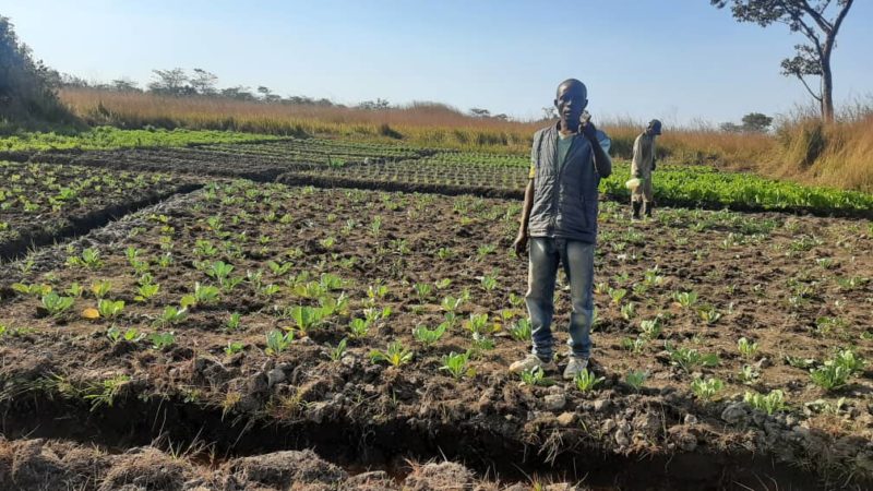 Lubumbashi : la qualité de l&rsquo;eau d&rsquo;arrosage au cœur de la sécurité sanitaire des aliments