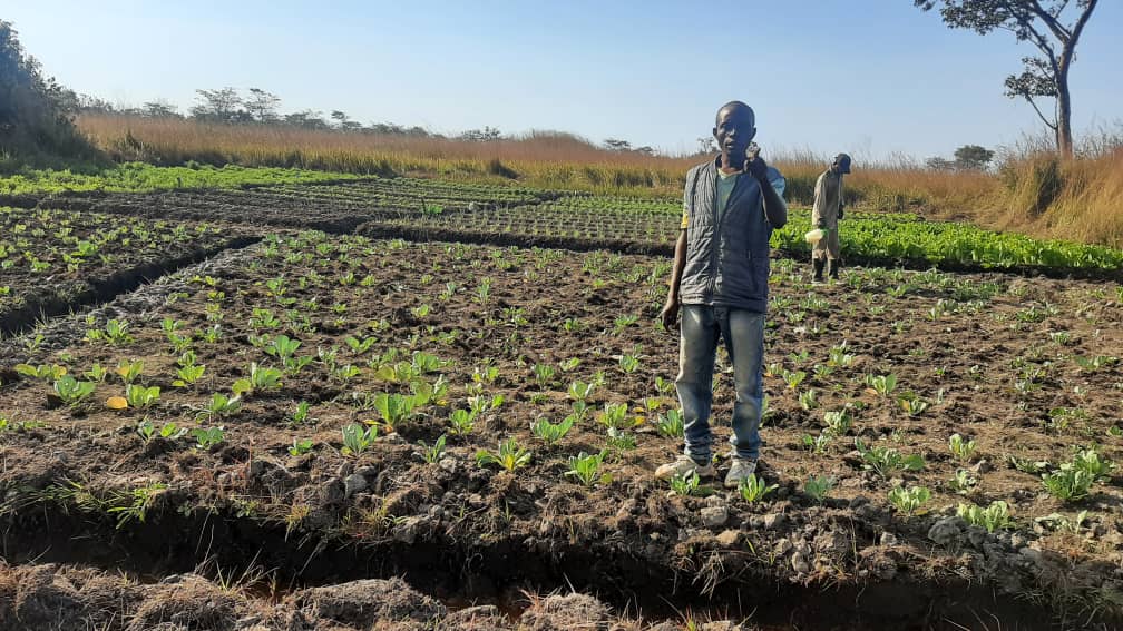Lubumbashi : la qualité de l&rsquo;eau d&rsquo;arrosage au cœur de la sécurité sanitaire des aliments