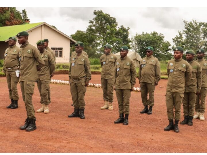 RDC : Des rangers entre courage, sacrifices et manque de moyens