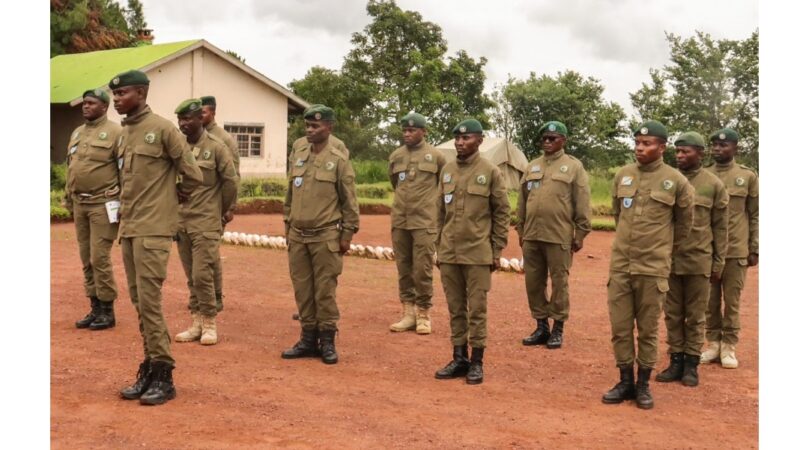 RDC : Des rangers entre courage, sacrifices et manque de moyens