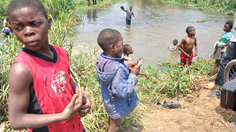 Lubumbashi : des poissons retrouvés morts dans une rivière , la population appelée à la prudence
