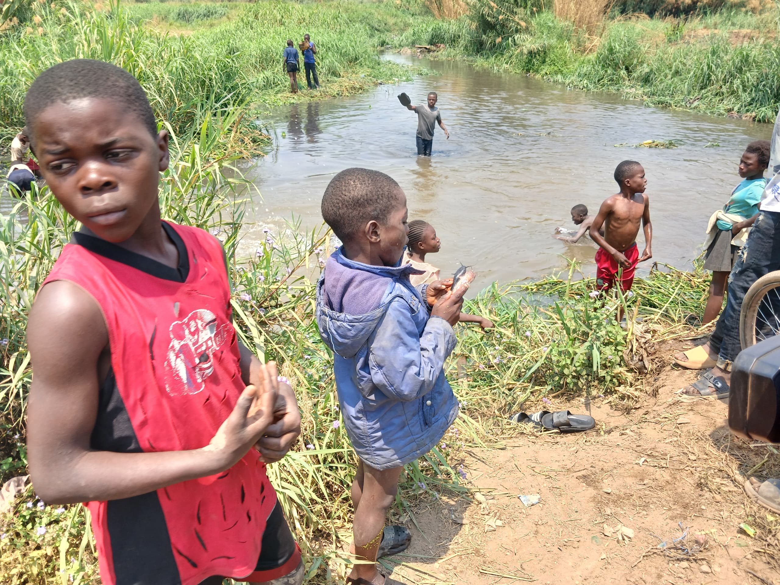 Lubumbashi : des poissons retrouvés morts dans une rivière , la population appelée à la prudence