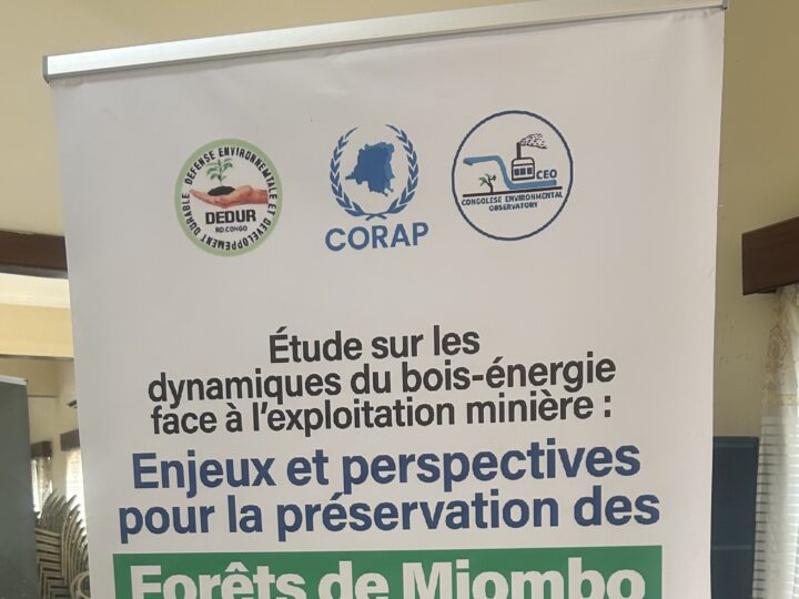 Lubumbashi : chercheurs et société civile à la recherche de solutions pour les forêts de Miombo