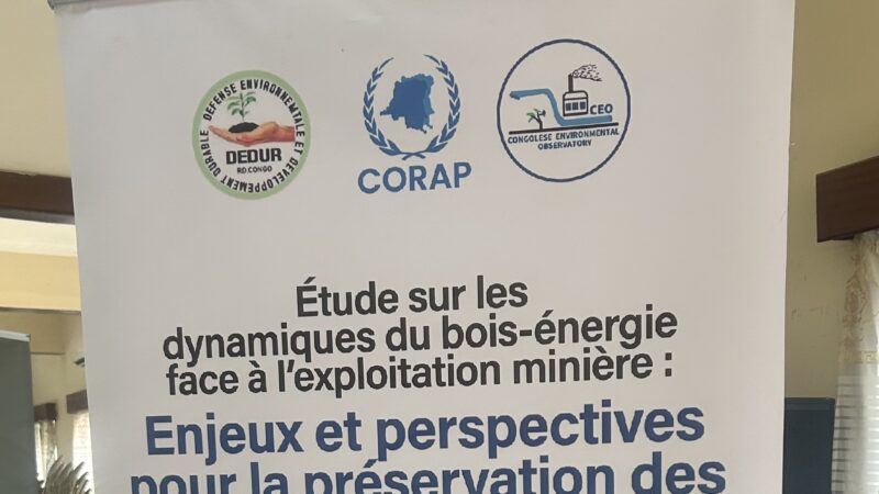 Lubumbashi : chercheurs et société civile à la recherche de solutions pour les forêts de Miombo